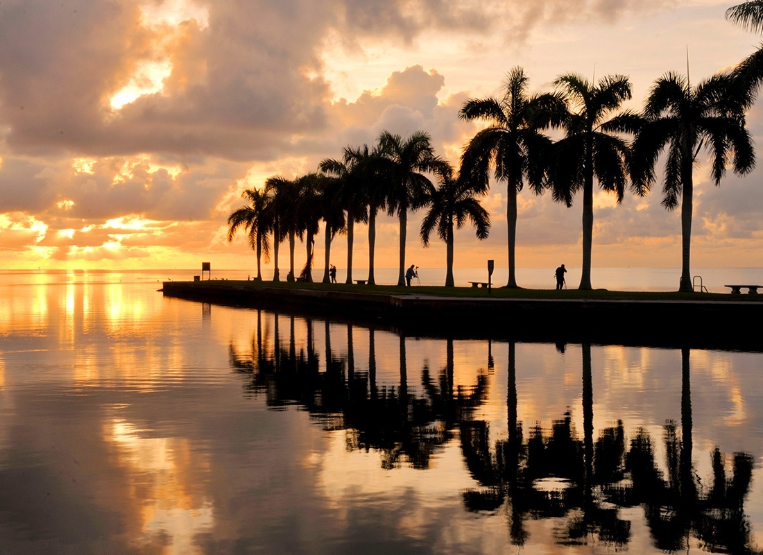 Cutler Bay, FL - Scenic View of Palm Trees By the Water at Sunset with a Cloudy Sky in Cutler Bay Florida